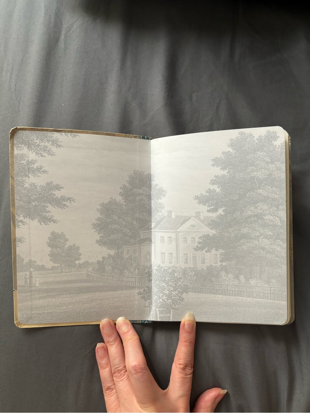 Jane Austen Blue Illustrated Journal - Picture 2 of 6